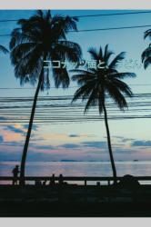 ココナッツ頭と、うどん