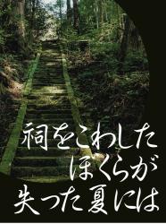 祠をこわしたぼくらが失った夏には