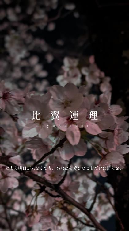 比翼連理—たとえ明日が来なくても、あなたを愛したことだけは消えない—