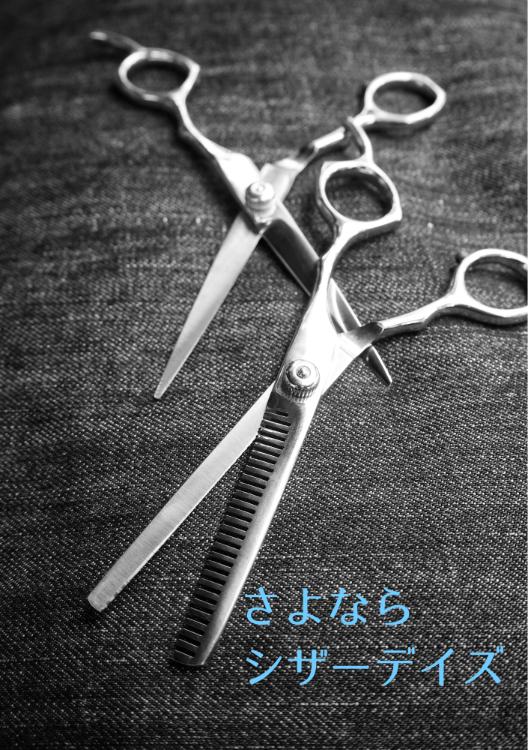 さよならシザーデイズ
