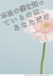 本当の僕を知っているのは、あなただけ