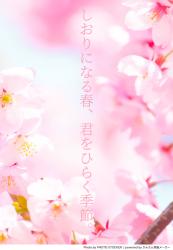 しおりになる春、君をひらく季節。