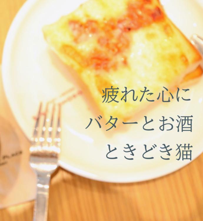 疲れた心にバターとお酒、ときどき猫