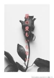 君の愛もいらない