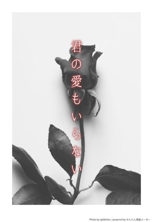 君の愛もいらない